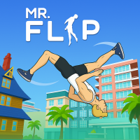 Mr Flip img